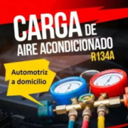 Miniatura de galería