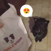 Miniatura de galería