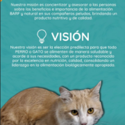 Miniatura de galería