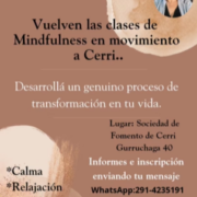 Miniatura de galería