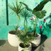 Miniatura de galería