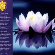 Miniatura de galería