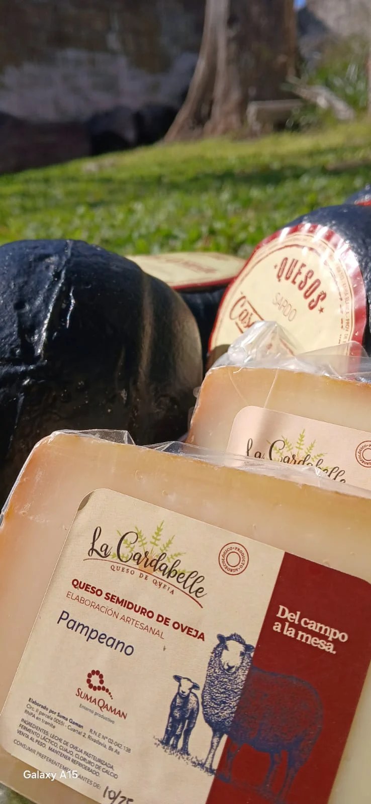 Foto de PRODUCTOS REGIONALES